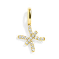 Pisces